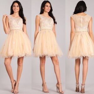 MY Fashion 1825 Champagne Dress